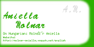 aniella molnar business card